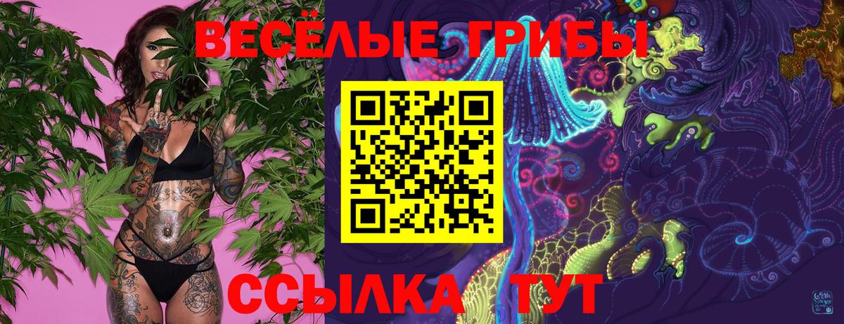 Псилоцибиновые грибы MAGIC MUSHROOMS  Вход с VPN  Скопин 